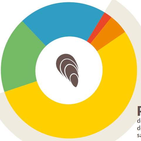 logo infographie