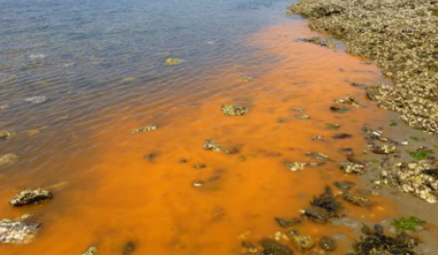 photo d'une eau de mer colorée en orange
