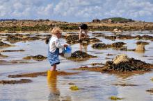 photo d'enfant pêchant sur le sable