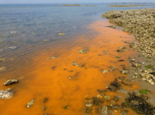 photo d'une eau de mer colorée en orange